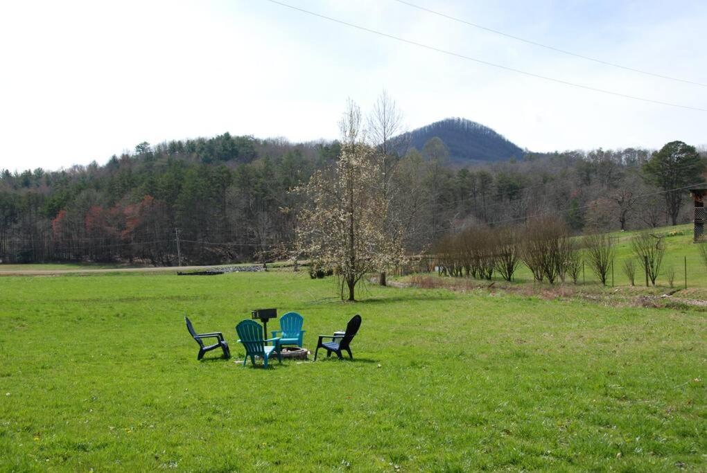Cozy Cottage With Full View Of The Mountains! Blue Ridge Dış mekan fotoğraf
